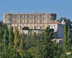 Les Truffières - château de Grignan