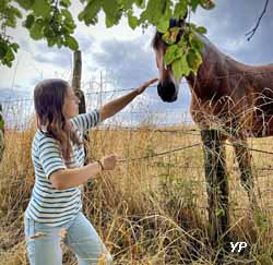 Camping Les Tournesols